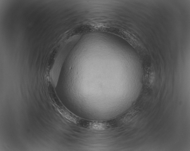X0000084020710200702232232