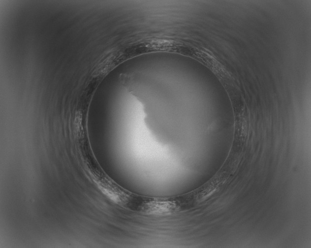 X0000084020711200702232232