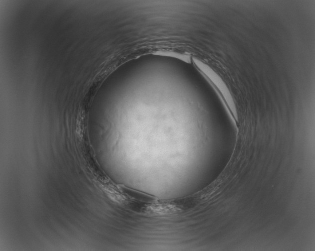 X0000084020712200702232232