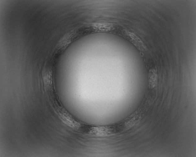 X0000084020713200702232232