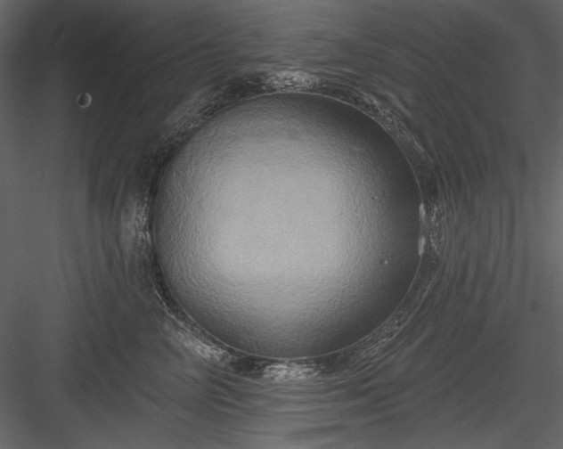 X0000084020714200702232232