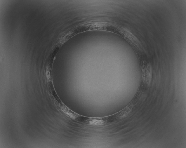X0000084020718200702232232