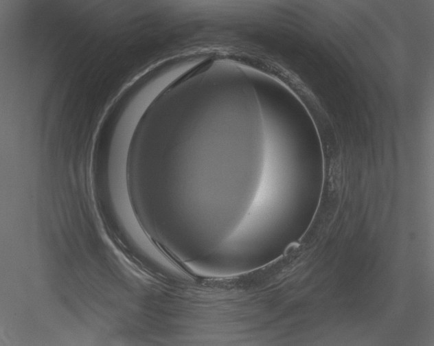X0000084020722200702232231
