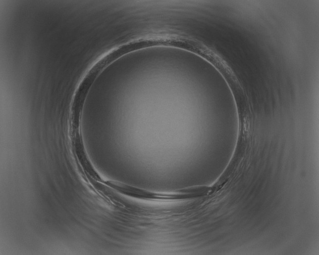 X0000084020724200702232231