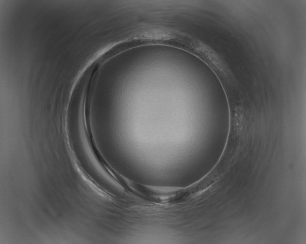 X0000084020726200702232231