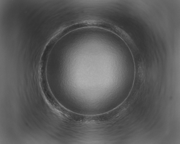 X0000084020730200702232231