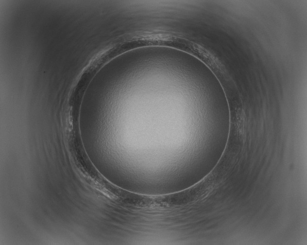 X0000084020731200702232231