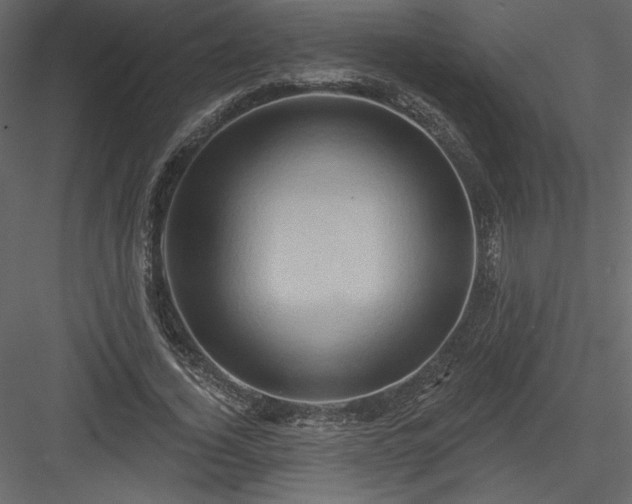 X0000084020732200702232231