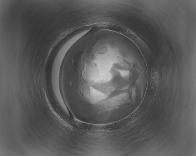 X0000084020734200702232231