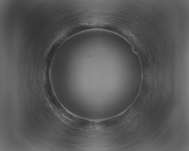 X0000084020735200702232231