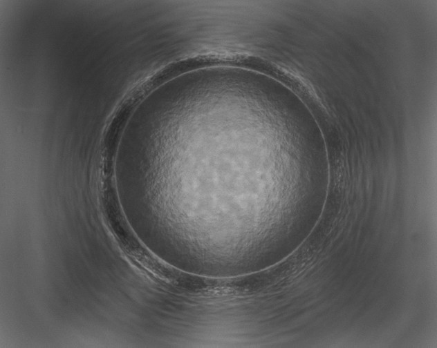 X0000084020736200702232231
