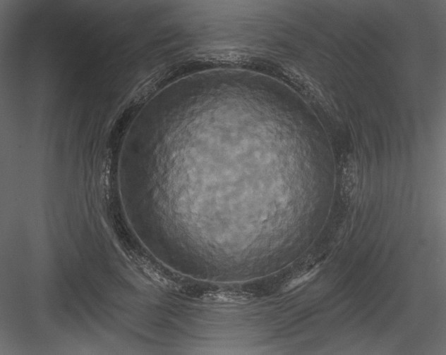 X0000084020739200702232231