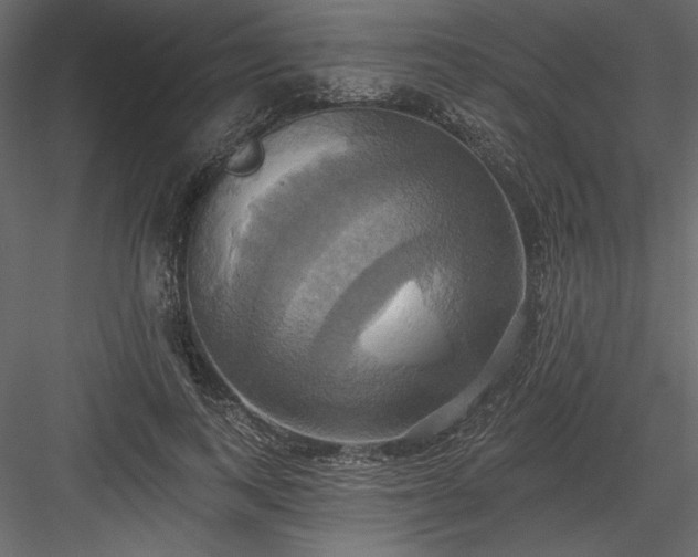 X0000084020743200702232231