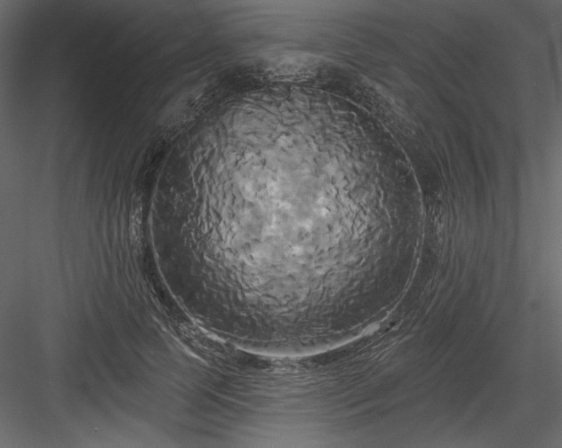 X0000084020745200702232231