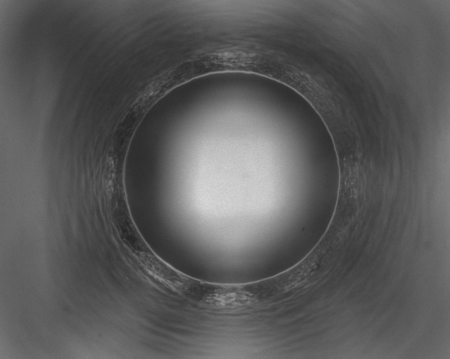 X0000084020752200702232231