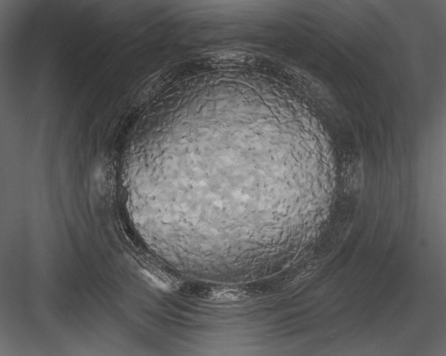 X0000084020753200702232231