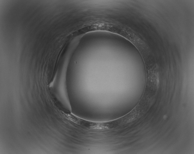 X0000084020754200702232231