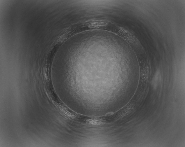 X0000084020755200702232231