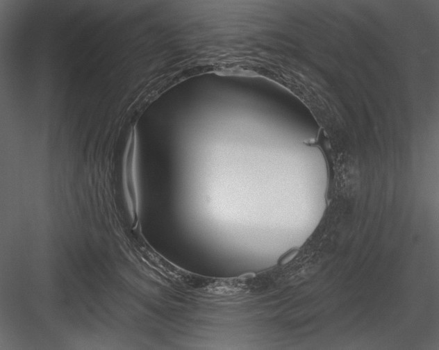 X0000084020756200702232231