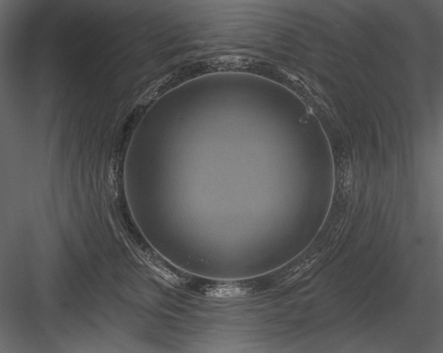 X0000084020759200702232231