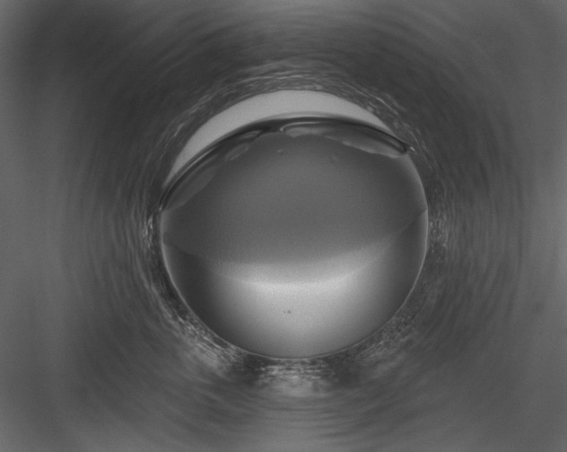 X0000084020763200702232231