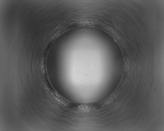 X0000084020764200702232231