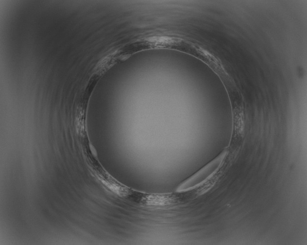 X0000084020766200702232231