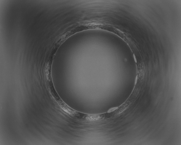 X0000084020767200702232231