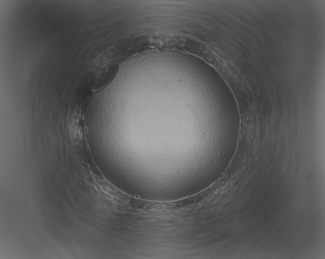 X0000084020770200702232231