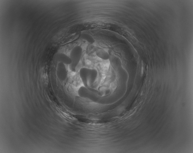 X0000084020771200702232231