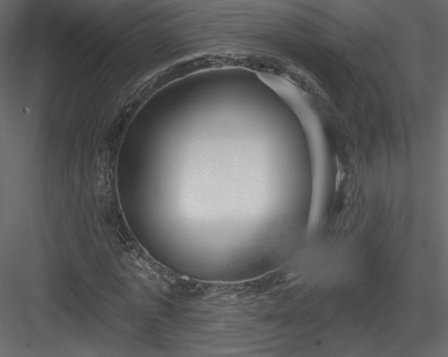 X0000084020773200702232231