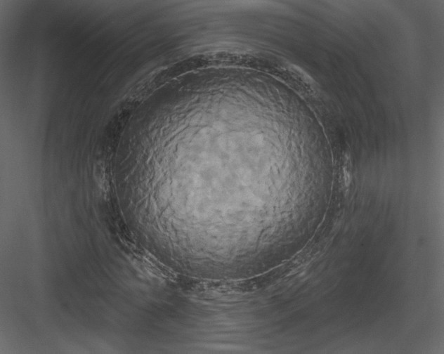 X0000084020774200702232231