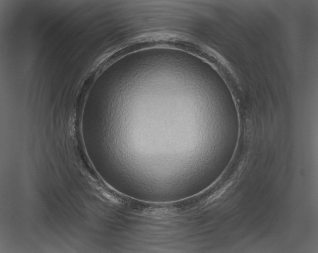 X0000084020778200702232230