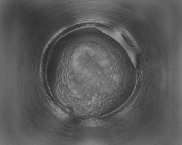 X0000084020780200702232230