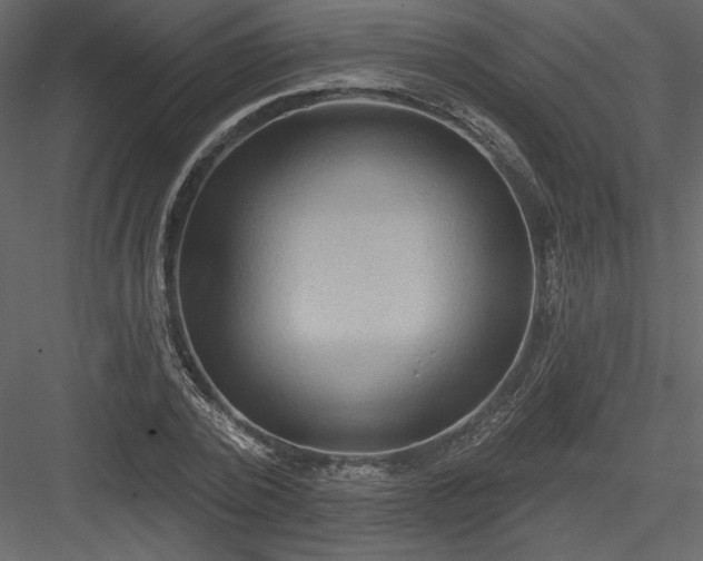 X0000084020784200702232230