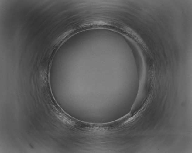 X0000084020785200702232230
