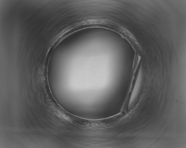 X0000084020786200702232230