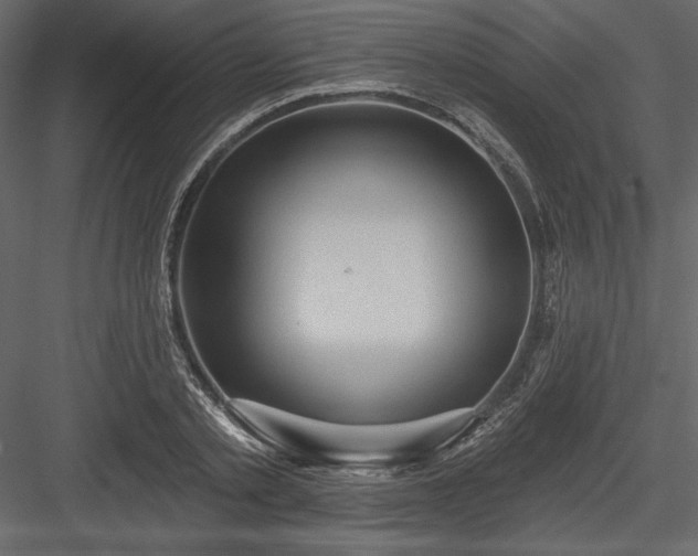 X0000084020789200702232230