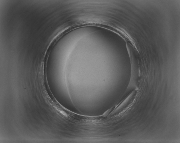 X0000084020790200702232230