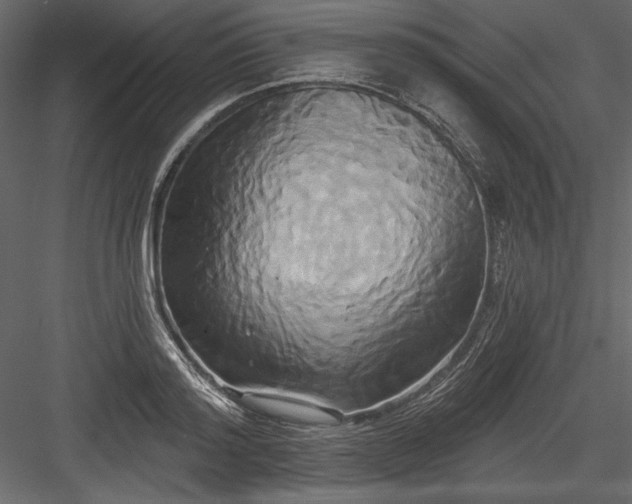 X0000084020796200702232230