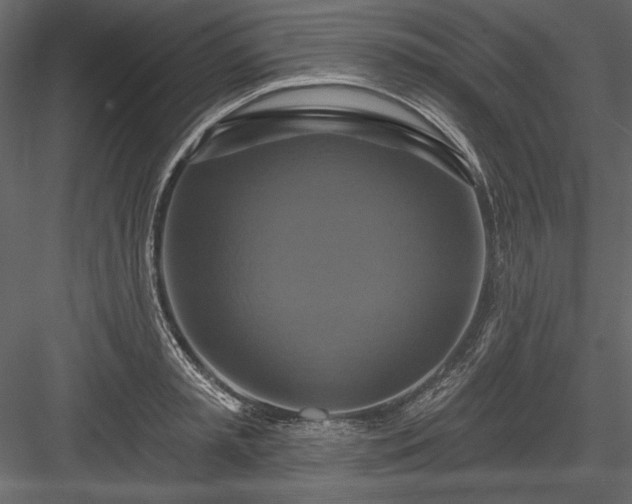X0000084020797200702232230