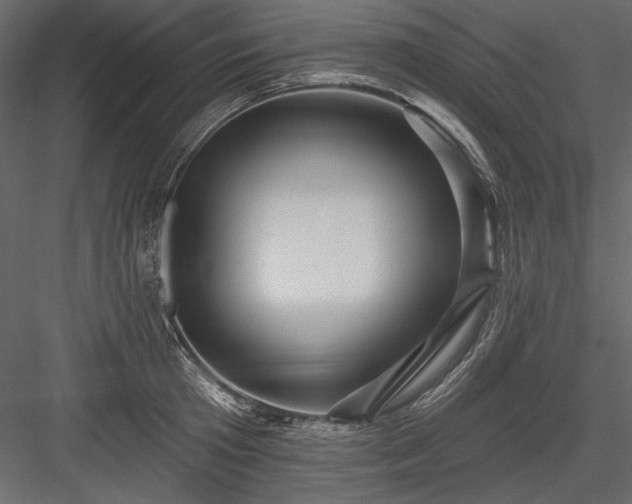 X0000084020801200702232230