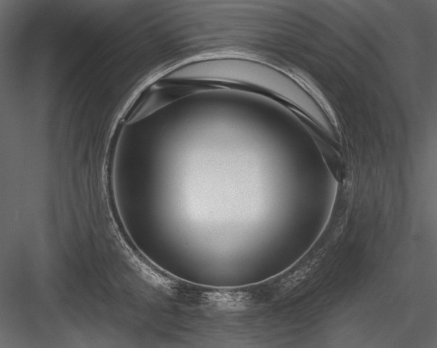 X0000084020805200702232230