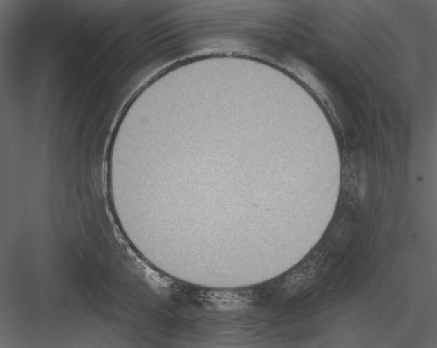 X0000084020807200702232230