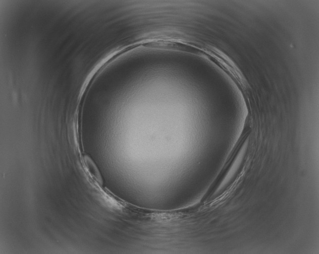 X0000084020812200702232230