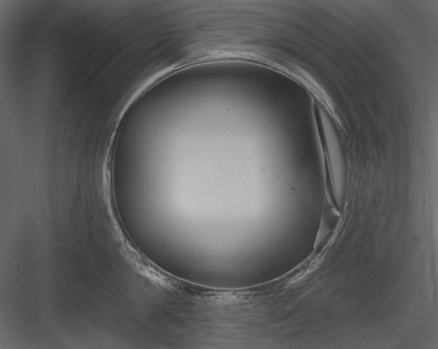 X0000084020814200702232230