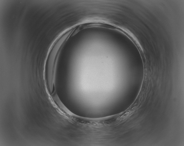 X0000084020815200702232230
