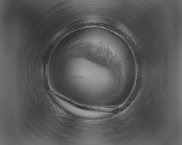 X0000084020825200702232229