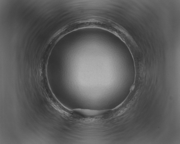 X0000084020826200702232229