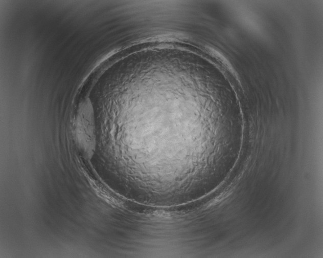 X0000084020827200702232229